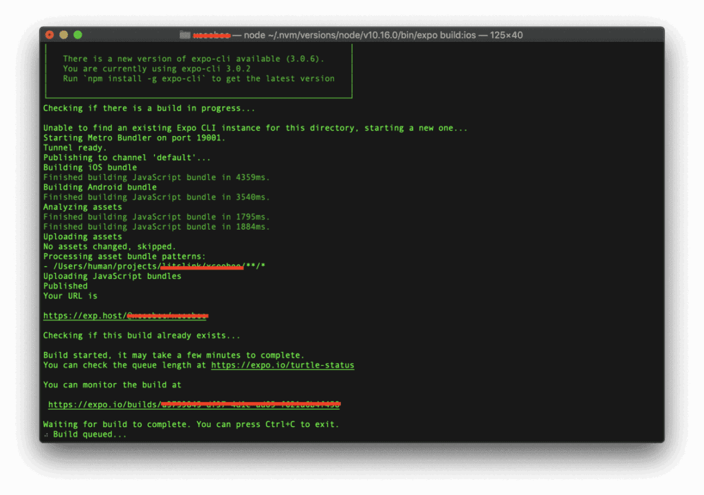 Expo - Build queued | LITSLINK Blog