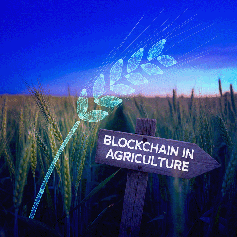How Blockchain in Agriculture Boosts Efficiency and Traceability for Farmers